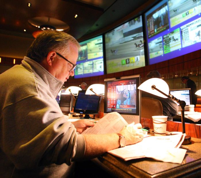 CASINO SIMULCASTING